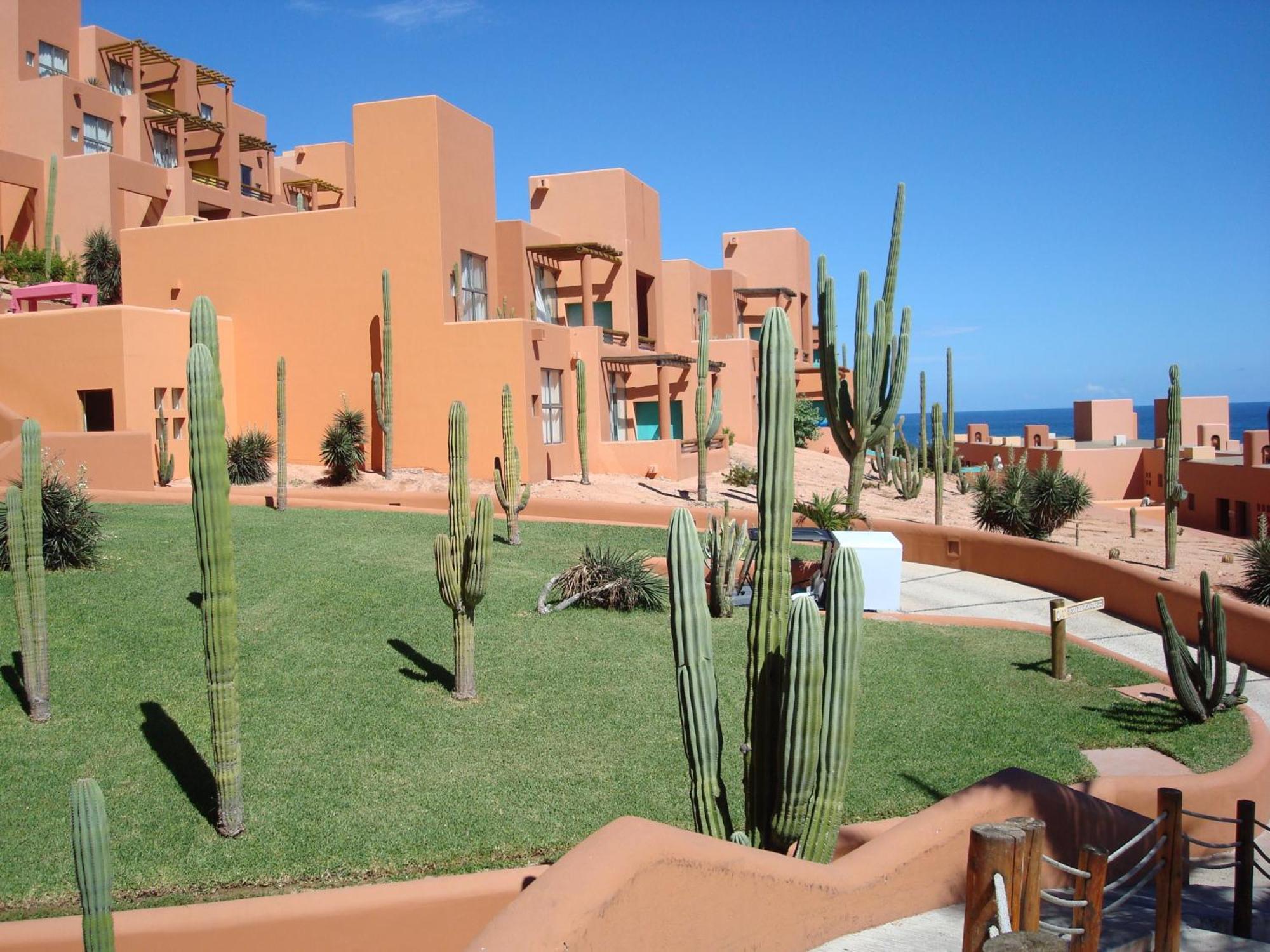 Club Regina Los Cabo Timeshare Rental ซานโฮเซ เดล กาโบ ภายนอก รูปภาพ